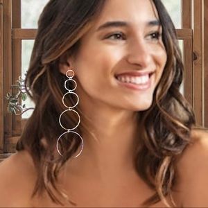 NEW Silver Tone Dangle Earrings